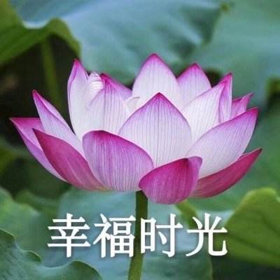 火线精英2正版下载
